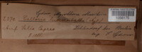 Image Associated With the Occurence